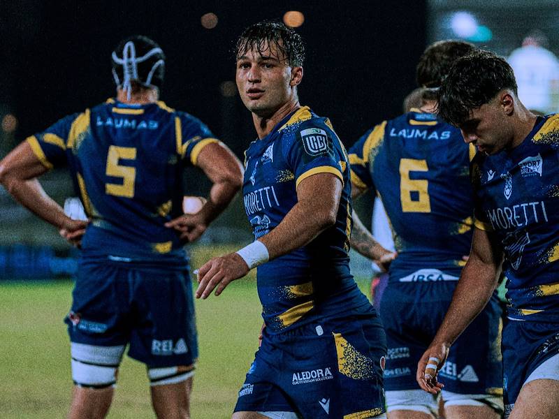 Le Zebre a Dublino contro i campioni in carica del Leinster