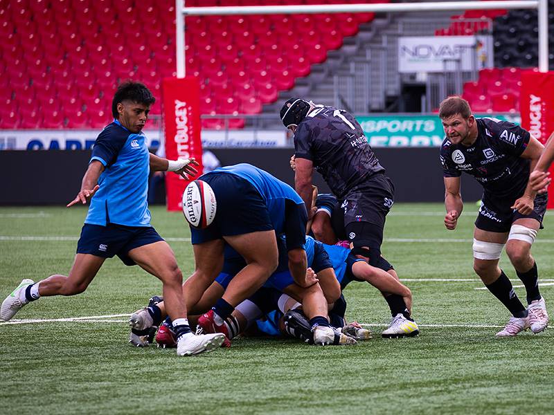 ZEBRE E OYONNAX IN CAMPO IL 22 AGOSTO IN GARA AMICHEVOLE