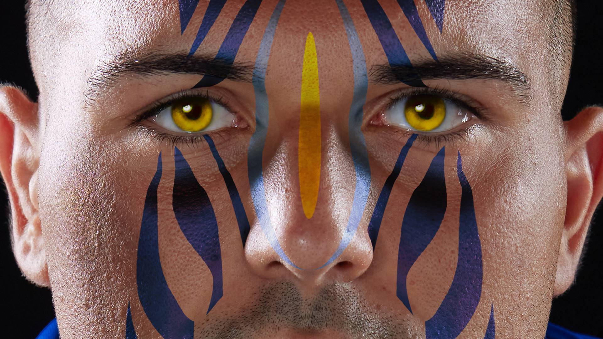 “LE ZEBRE, COME NON LE AVETE MAI VISTE”