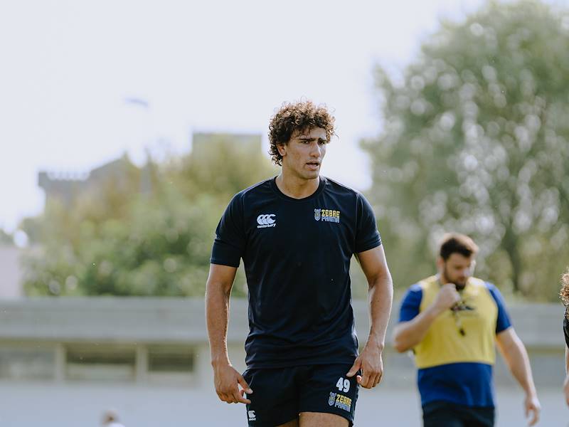 Report Medico Zebre Parma: Andrea Zambonin