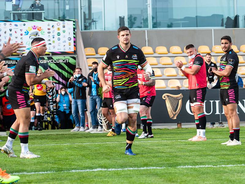 LE ZEBRE SALUTANO JOHAN MEYER