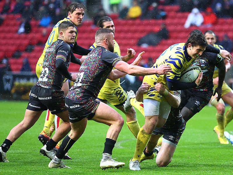 LE ZEBRE SALUTANO MATTEO MOSCARDI