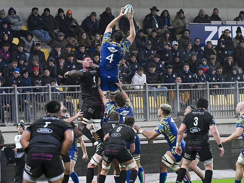 TRE METE PER LE ZEBRE CHE CROLLANO NELLA RIPRESA