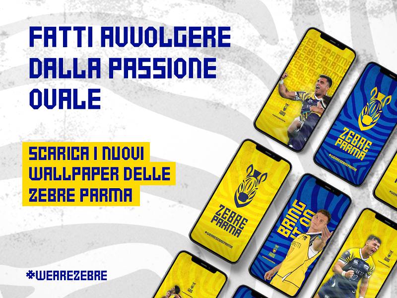 SCARICA I WALLPAPERS DELLE ZEBRE!