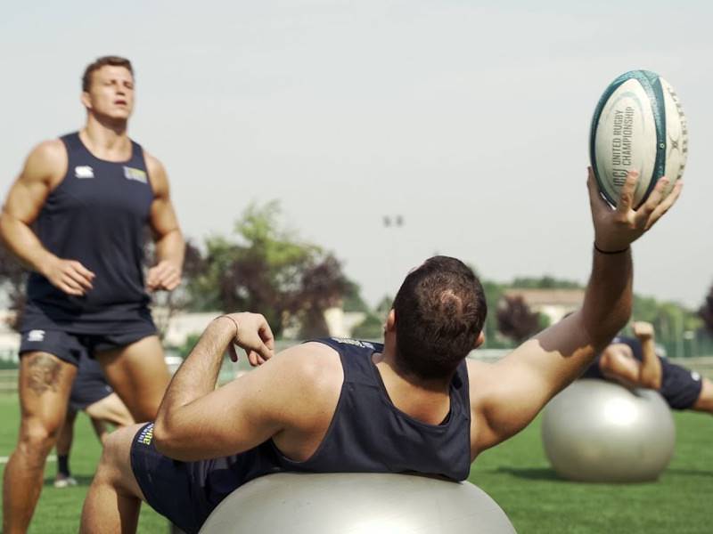 #ZebreCommunity – Linee guida