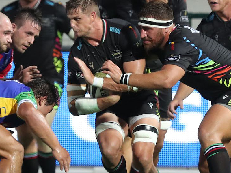 LE ZEBRE SEGNANO DUE METE ED ESPUGNANO IL MONIGO!