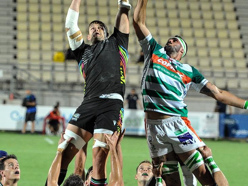 LE ZEBRE NON BISSANO IL SUCCESSO CON I LEONI