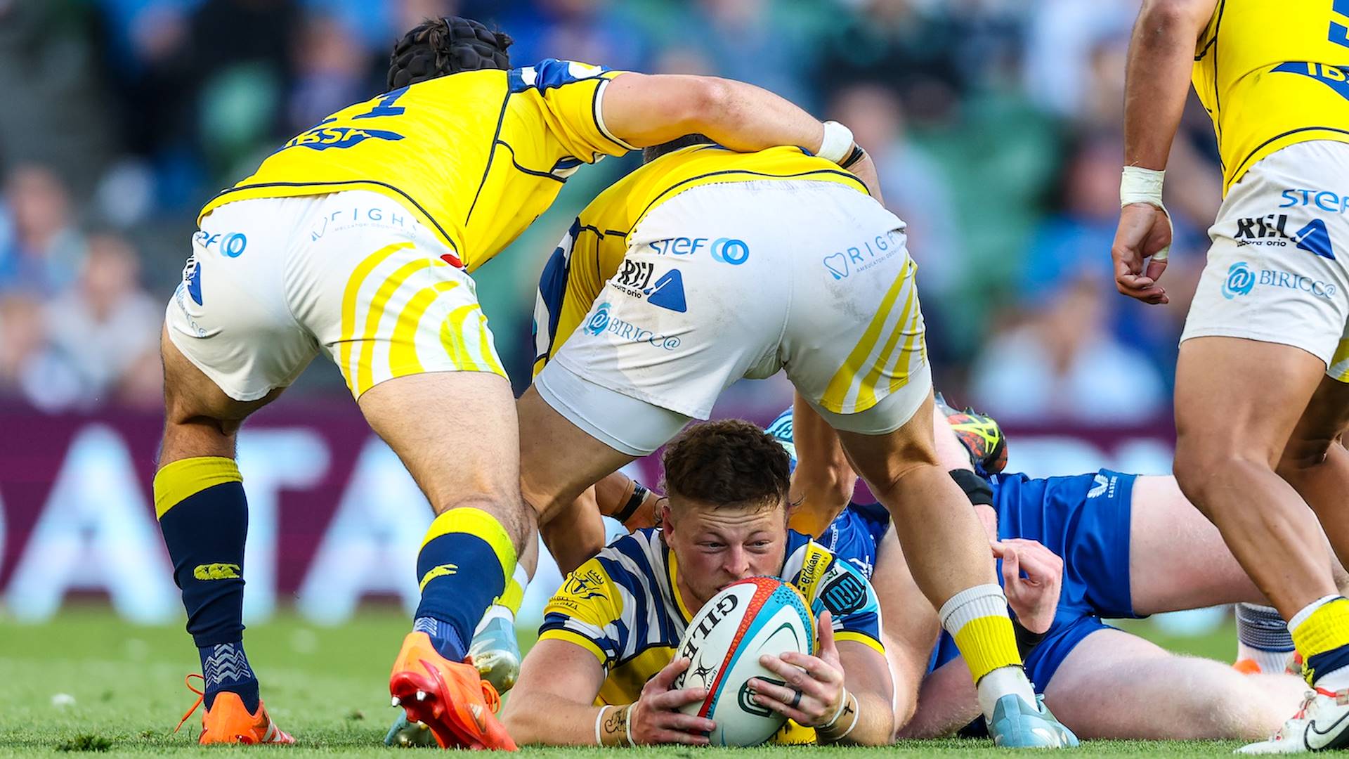 Le Zebre cadono con Leinster: a Dublino finisce 76-5 per i padroni di casa