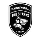Hollywoodbets Sharks