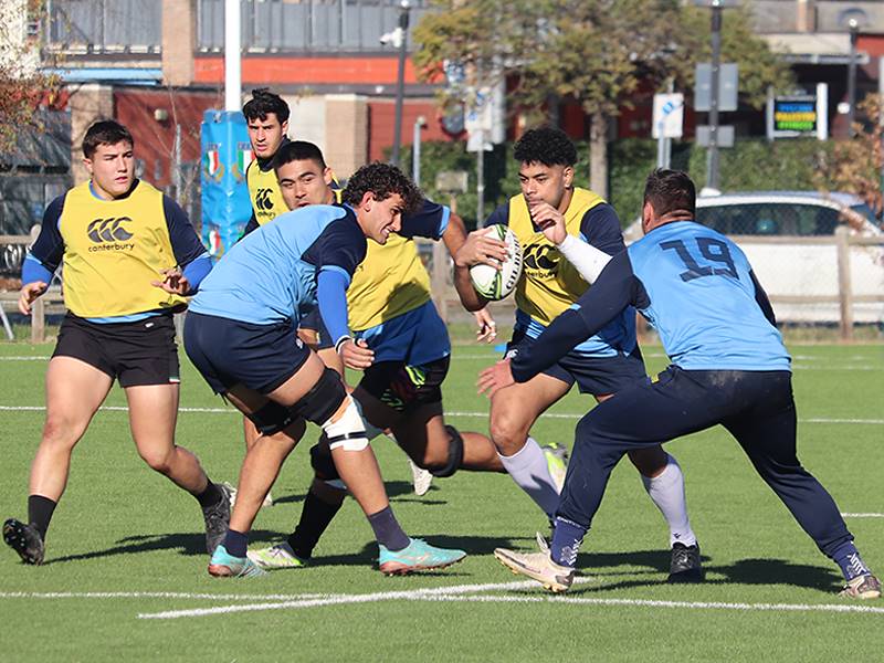 BOLLETTINO MEDICO ZEBRE PARMA