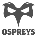 Ospreys