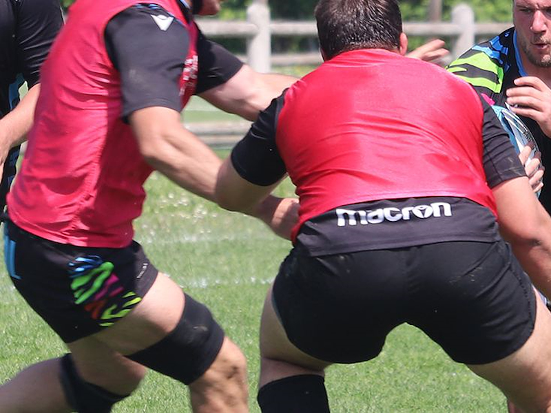 DUE AMICHEVOLI ESTIVE PER LE ZEBRE
