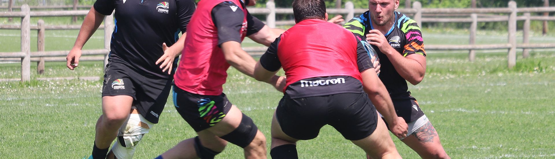 DUE AMICHEVOLI ESTIVE PER LE ZEBRE