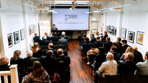 Zebre Business Tour - DUBLIN