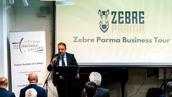 Zebre Business Tour - DUBLIN