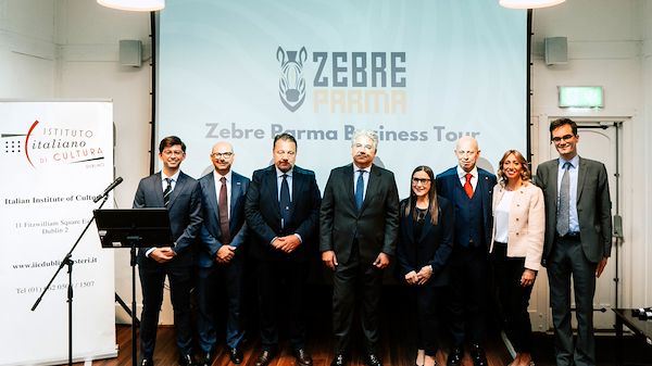 Zebre Business Tour - DUBLIN